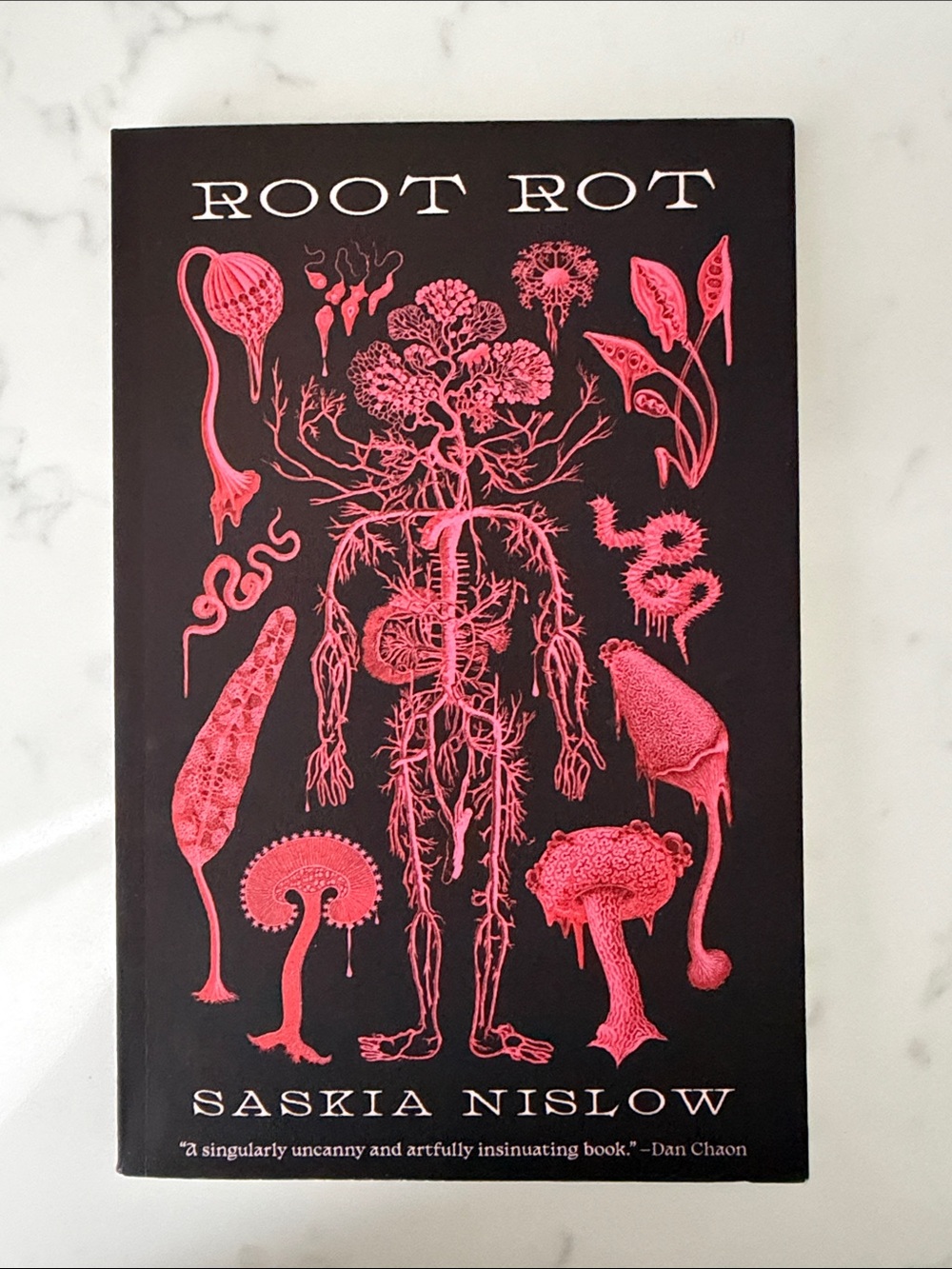 Root Rot by Saskia Nislow